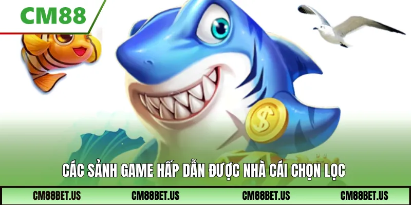 Các sảnh game hấp dẫn được nhà cái chọn lọc